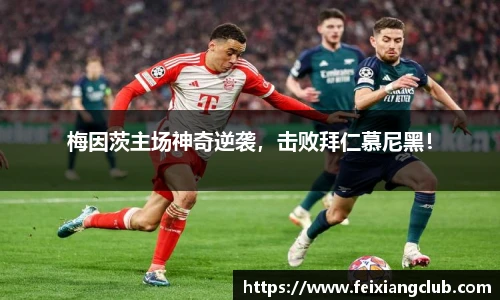 乐天堂fun88官网