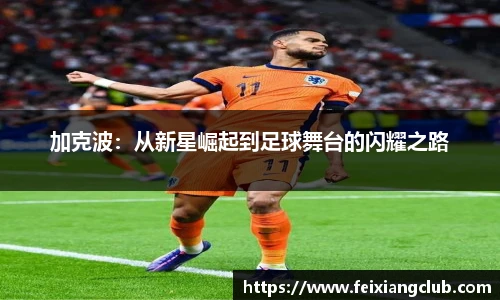 乐天堂fun88