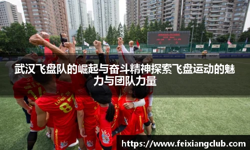 武汉飞盘队的崛起与奋斗精神探索飞盘运动的魅力与团队力量